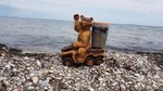 Экспедиция «Шесть морей» передает привет из Краснодара!