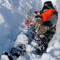 В Россию привезли прототипы снегоходов Ski-Doo и Lynx 2011